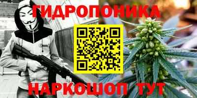 ПСИЛОЦИБИНОВЫЕ ГРИБЫ Татарск