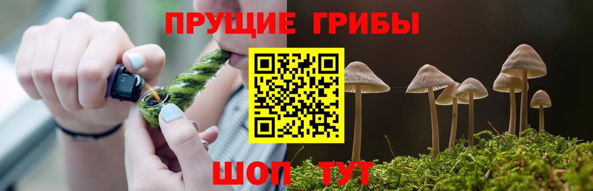 Псилоцибиновые грибы Magic Shrooms  Вход с VPN  Минеральные Воды 
