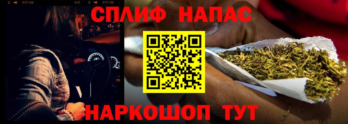 Конопля конопля Минеральные Воды